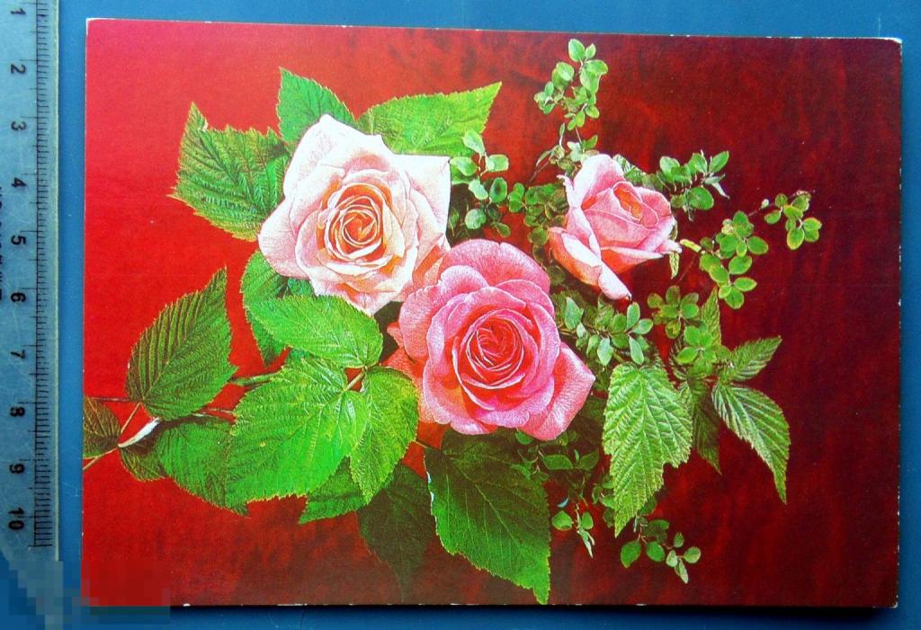 Дергилев ПОЗДРАВЛЯЮ!  1987 ДМПК Щ12а (1.9..2..) чистая ЦВЕТЫ роза