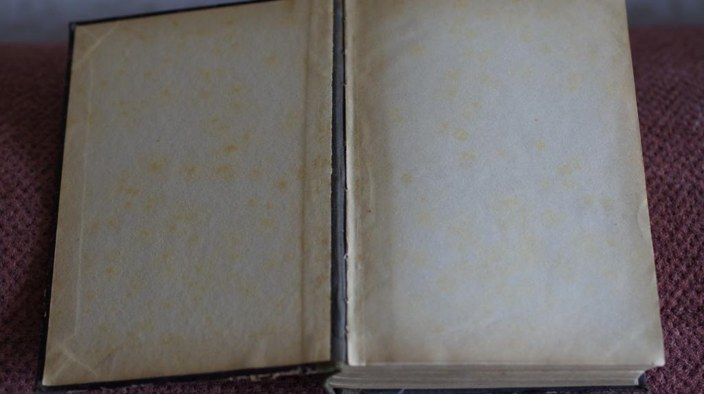 Письма А. П. Чехова к О. Л. Книппер-Чеховой 1924