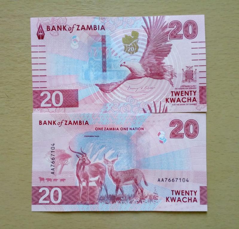 Замбия 20 квача 2024 год пресс unc