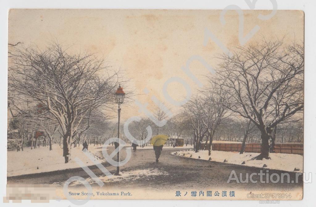 Япония.Иокогама.Yokohama.Парк зимой.