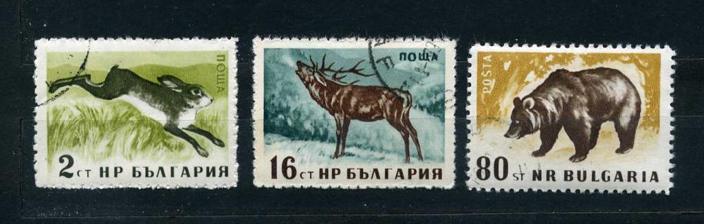 Болгария. Фауна Европы. Медведь, олень, заяц. 1958.гаш