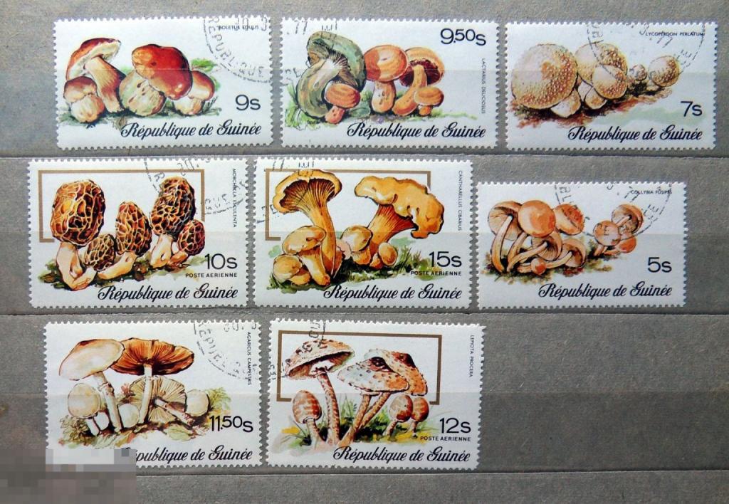 Гвинея 1977 гашен.  (А4 стр12) марки ФЛОРА грибы ..1..