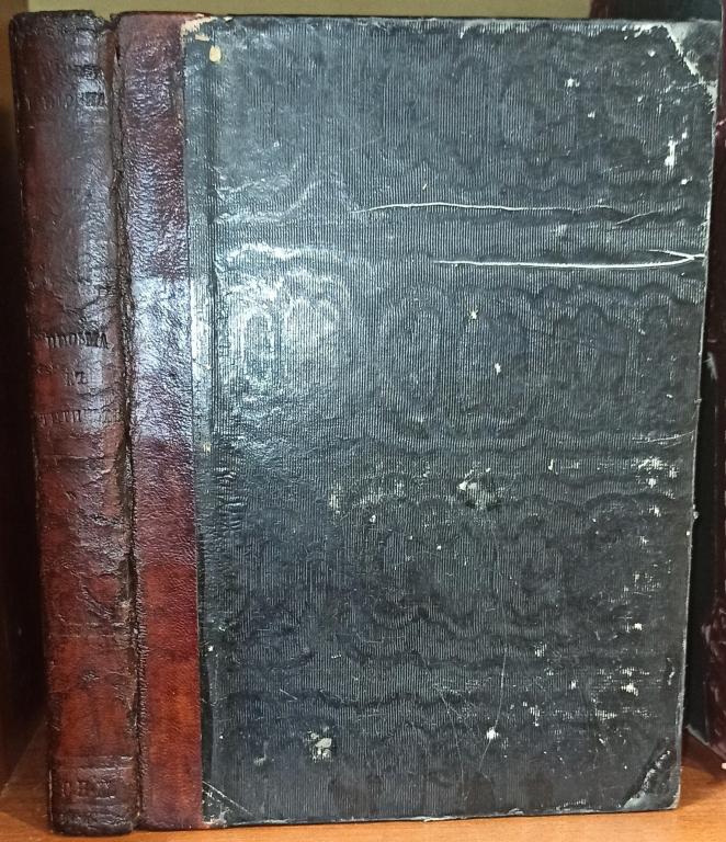 Салтыков-Щедрин М. Е. Письма к тетеньке. 1882
