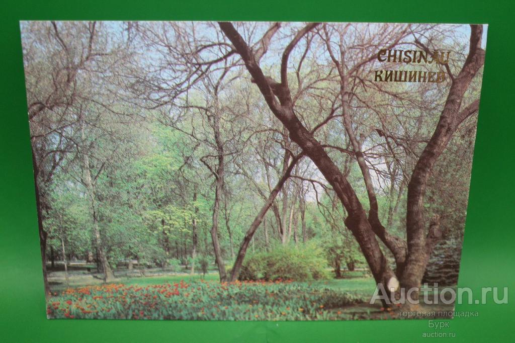 открытка Кишинёв 1989 Уголок парка имени А.С.Пушкина  чистая