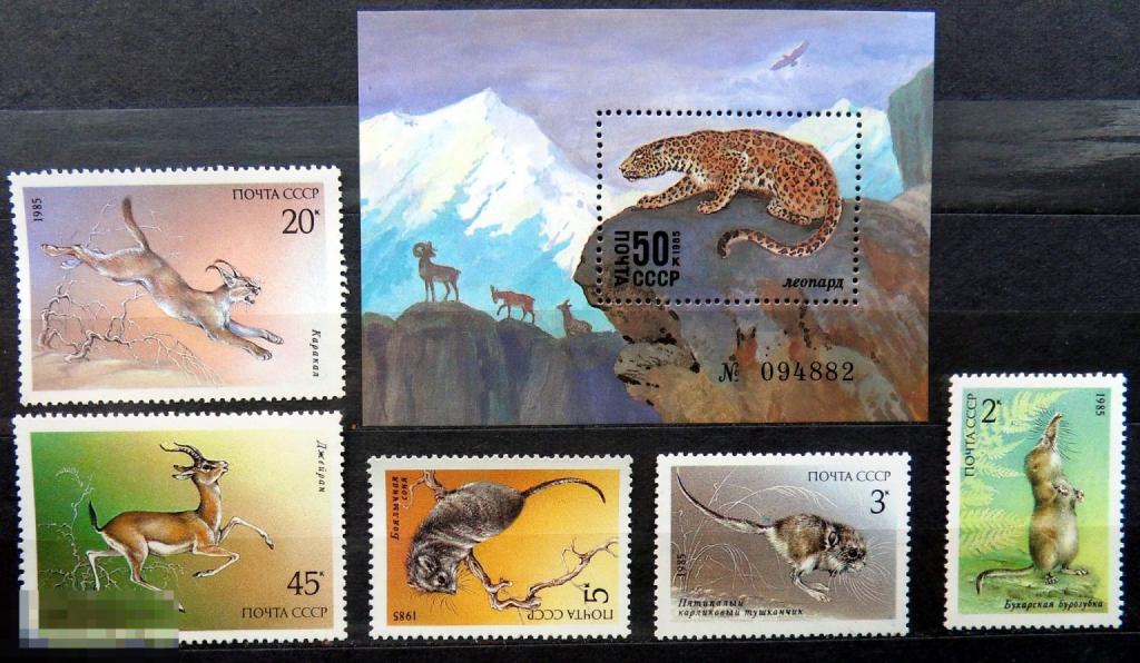 СССР 1985  № 5658-5663. Животные Красной книги СССР. фауна  **  А4с23 марки