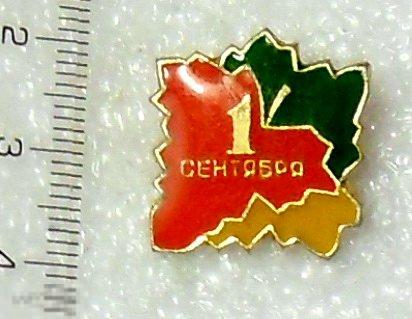 1 СЕНТЯБРЯ школа CF учеба