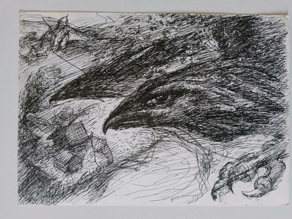 Мерзляков В.М. (1955 г.р.) Птица, летящая над деревней