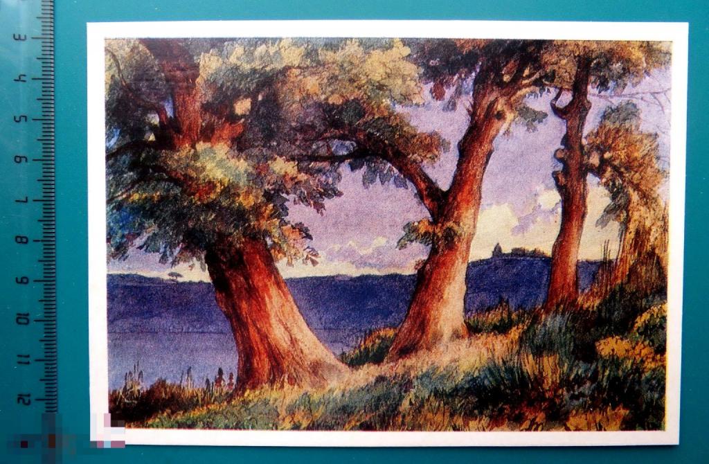 Лебедев АЛЬБАНО 1973 - Е17(П.Ю.Р.) - лес ПЕЙЗАЖ живопись чистая ЛЮКС!!!