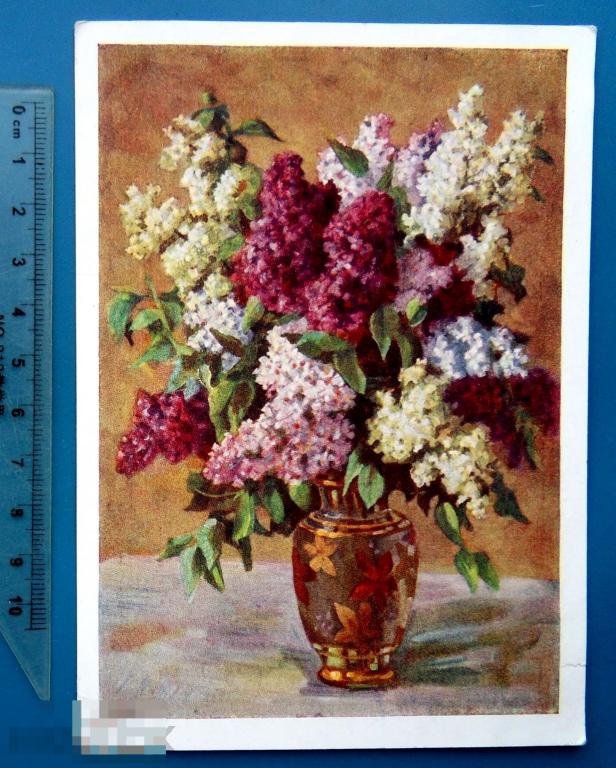 Лебедев СИРЕНЬ В ВАЗЕ. 1959 ДМПК  Щ10а (1.8..4..) подписана ЦВЕТЫ ..1..