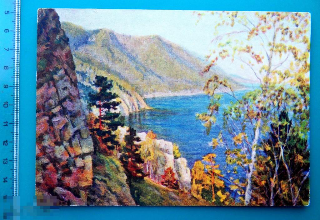Писарев У БЕРЕГОВ БАЙКАЛА 1956 --  Е19(Е.Е.Р.)  -- береза ПЕЙЗАЖ чистая ЖИВОПИСЬ