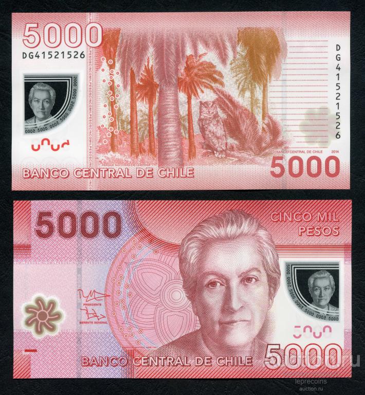 Чили 5000 песо 2014 г.; Серия - DG; Полимер; P#163; UNC (из пачки)
