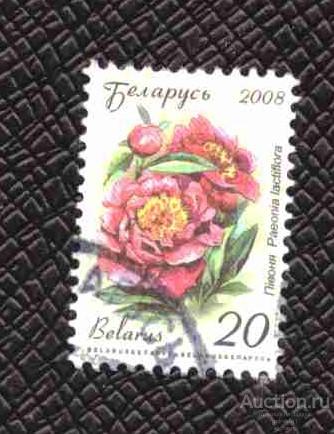 Беларусь     гашеная   2008  год   флора    №  3421