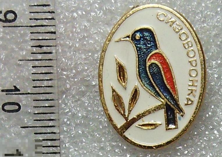 СИЗОВОРОНКА zZ птицы