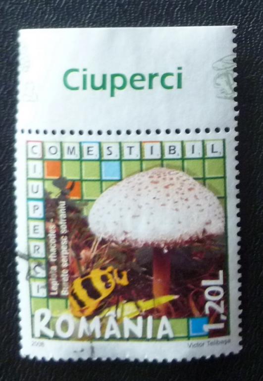 Румыния 2008 Mi# 6262 Грибы 1т