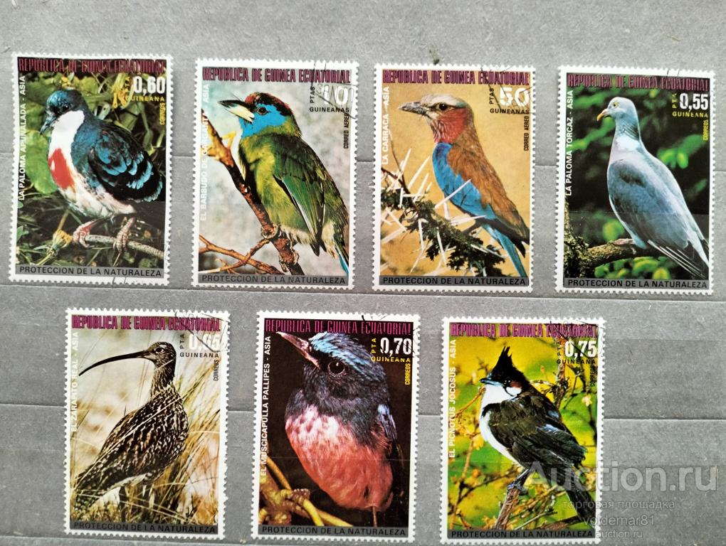 Экваториальная Гвинея. Фауна. Птицы Азии