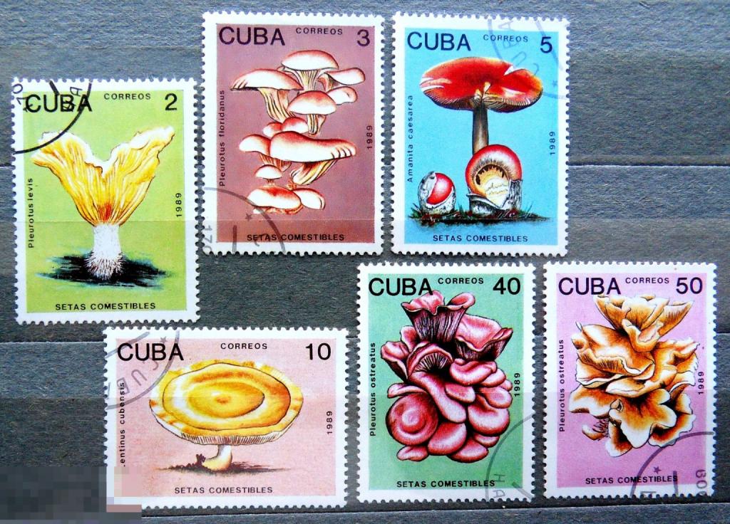Куба 1989 Грибы  --- 19Мкр стр2 -- марки