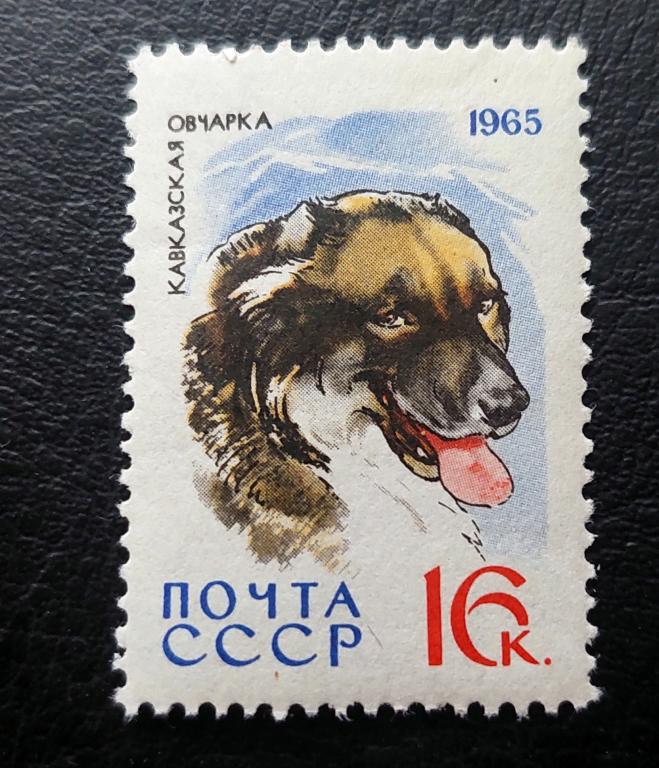 СССР.  Служебные и охотничьи собаки. Кавказская овчарка. Фауна. 1965.**