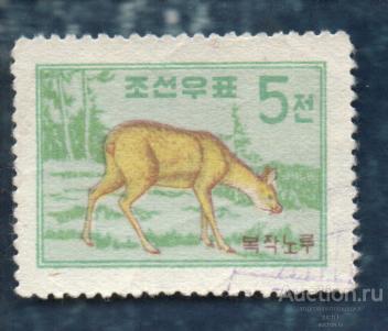 Корея 1959 ФАУНА животные  ГАШЕН