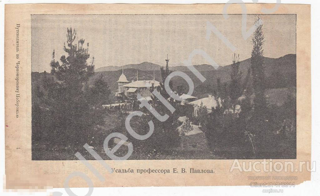Дореволюционная литография Усадьба профессора Павлова Сочи.