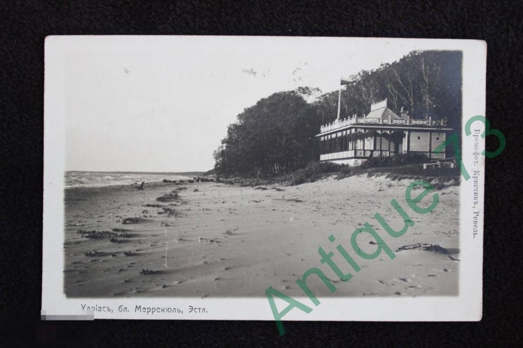 Эстония Меррекюль Ида-Вирумаа Гунгербург Берег Финский Залив Кристин Christin