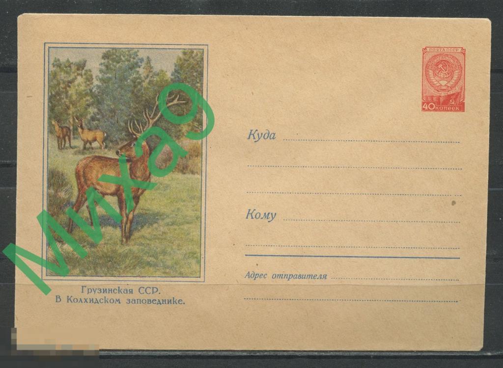 1957 ХМК 566 Грузия В Колхидском заповеднике Олени Фауна Пейзаж Адрианов