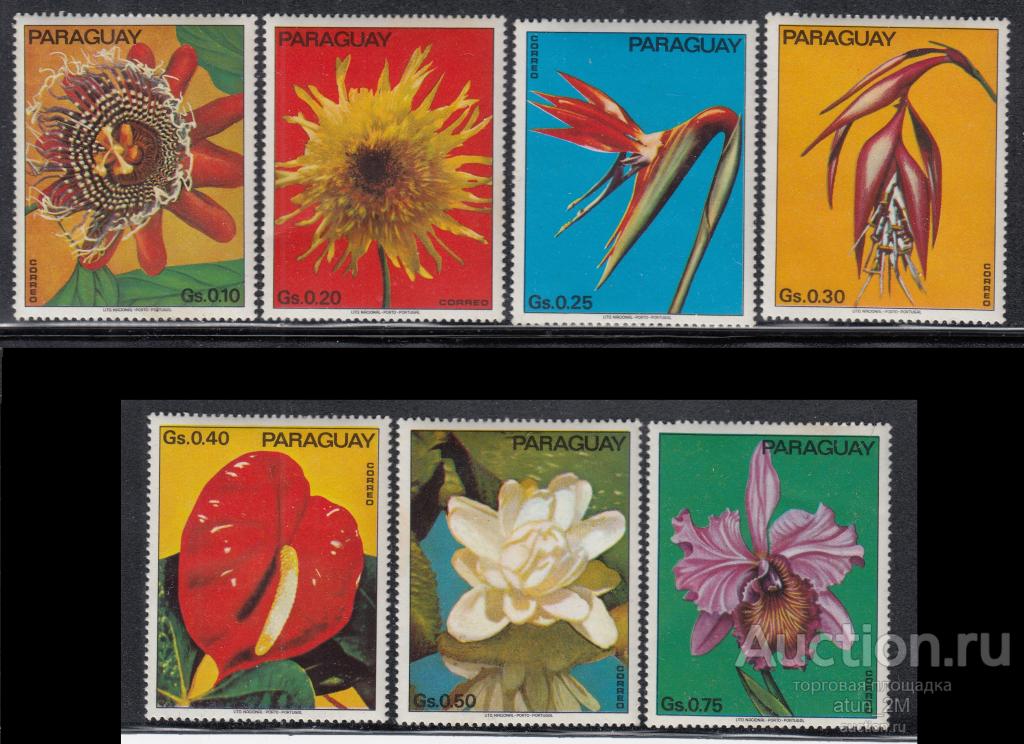 Парагвай. 1973 год. Цветы. 7 марок. Серия