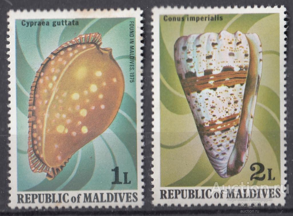Мальдивы. 1979 год. Морские раковины. 2 марки. Начало серии