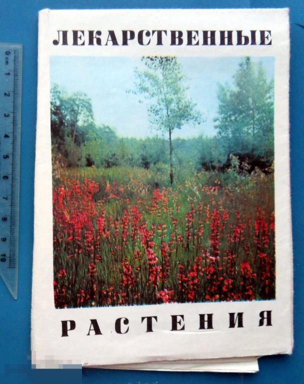 ЛЕКАРСТВЕННЫЕ РАСТЕНИЯ наглядное пособие-определитель 1980  выпуск №2  БК.
