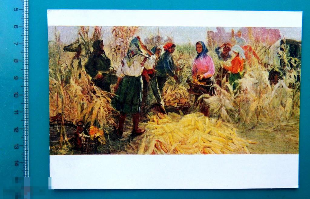Слета УБОРКА КУКУРУЗЫ 1961 - Е14(Р.У.Ф.) - СОЦРЕАЛИЗМ живопись чистая РЕДКАЯ!!!
