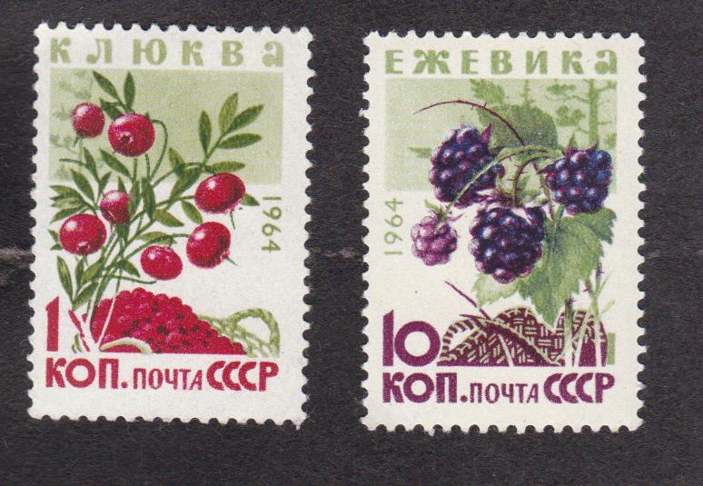 СССР 1964 Флора Ягоды (3578)