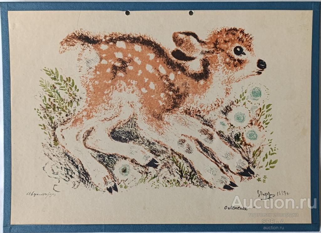 "Оленёнок" офсетная литография Чарушин Е.И. 1973 год
