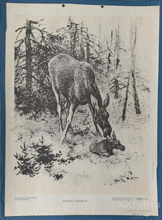"Лосиха с лосёнком" плакат Комаров А.Н. 1976 год