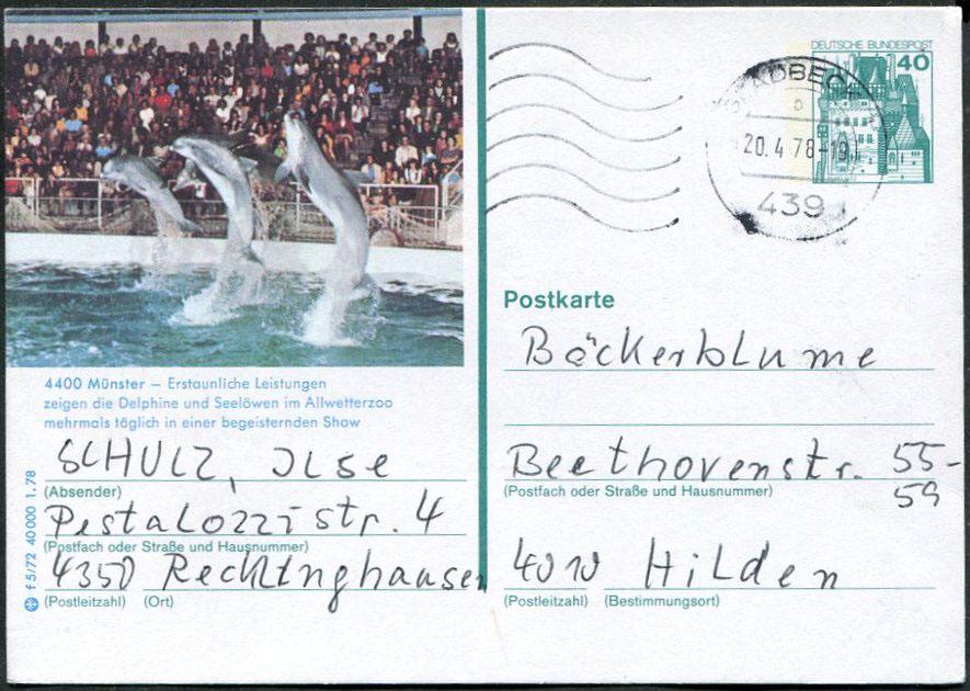 ФАУНА Германия ФРГ 1978 Münster зоопарк Allwetter ДЕЛЬФИНЫ Мюнстер дельфинарий иллюстрированная ПК