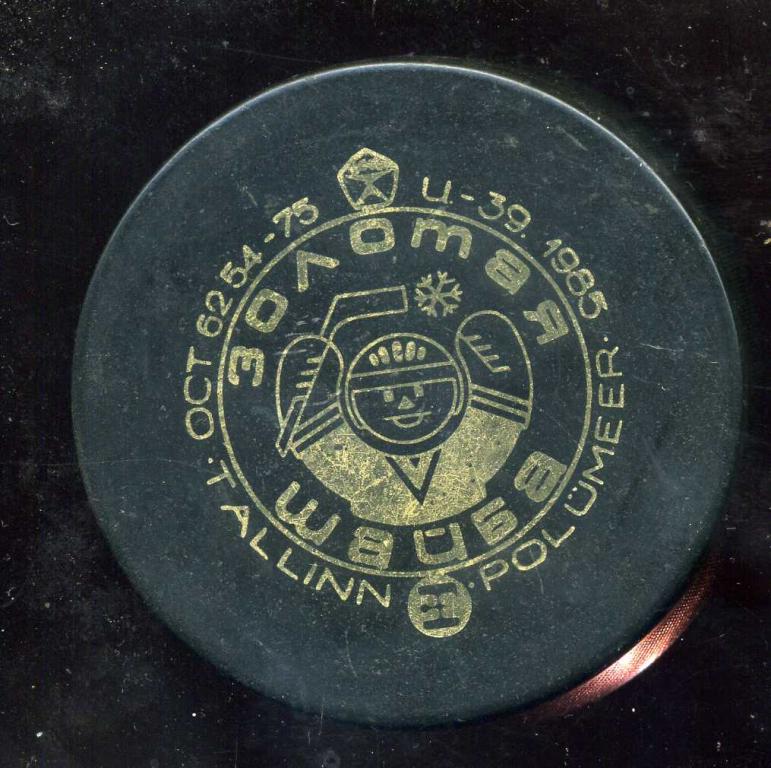 ЗОЛОТАЯ ШАЙБА  ЮЮ