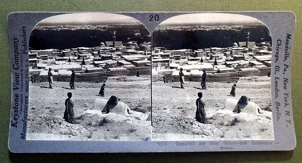 СтереоФото Стерео Фото Стереопара Сирия Защита Садов Земледелие 1900 год ориг..сост