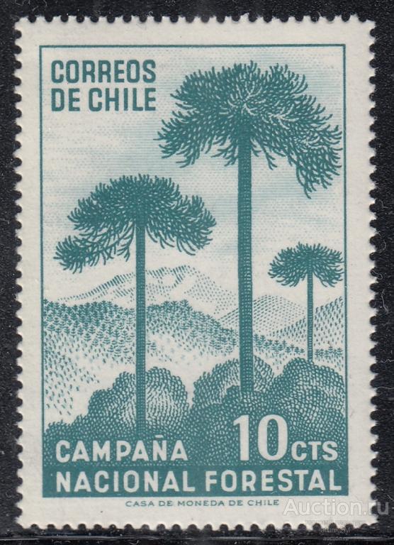 Чили. 1967 год. Национальная лесная кампания. MNH