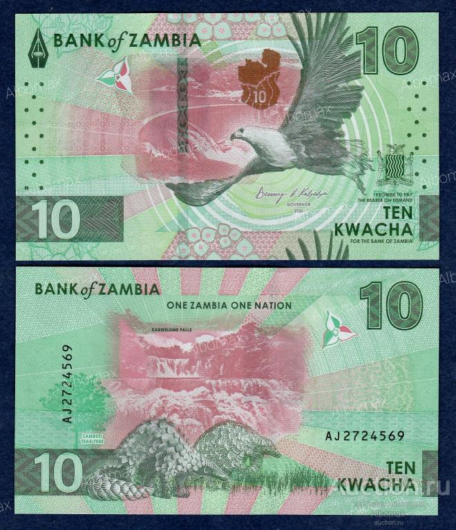Замбия 10 квача 2024г (2025) год ПРЕСС (серия AJ) UNC