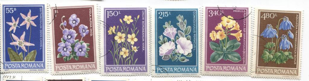 1979 Румыния.Цветы 6м .гаш