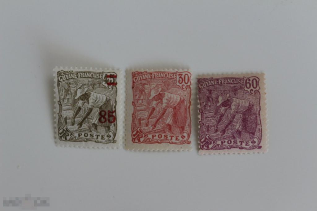 Французские колонии Французская гвиана 3 марки чиста без наклейки 1904 г.