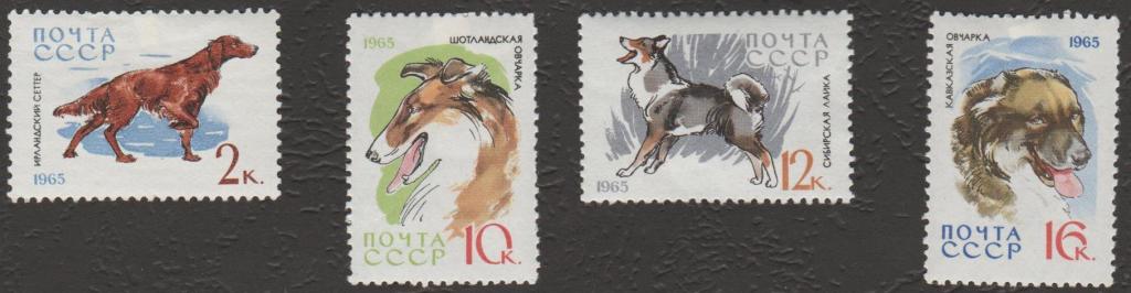 1965 год. № 3162-3171. Собаки. Неполная серия (1)