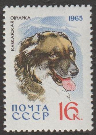 1965 год. № 3162-3171. Собаки. Марка № 3171. Кавказская овчарка (1,2)