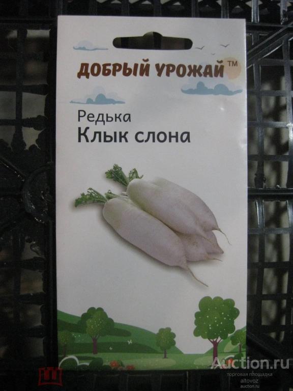 Семена овощей: редька КЛЫК СЛОНА. Семена-групп 2024 просрочены.