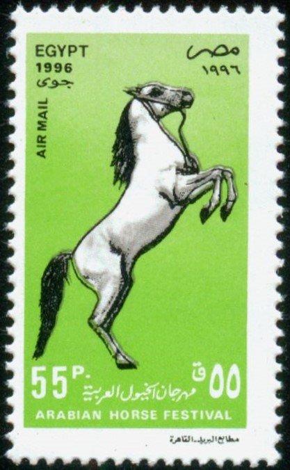 Египет 1996 г. Арабская лошадь (Equusferuscaballus) ** Чистая, ЧБН