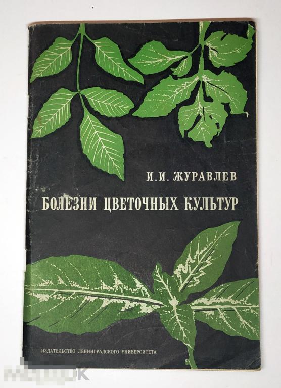 Книга - Журавлев И.И. Болезни цветочных культур. "Издательство Ленинградского университета", 1973.
