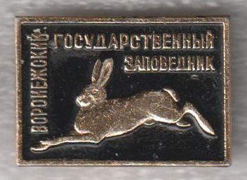 Воронежский Государственный заповедник * Заяц * ЭТПК