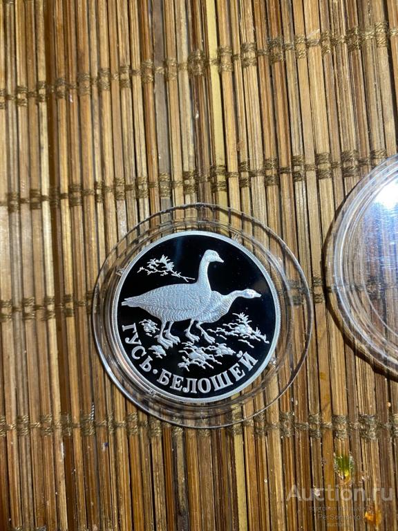 1 руб Красная книга Гусь Белошей 1998 Серебро