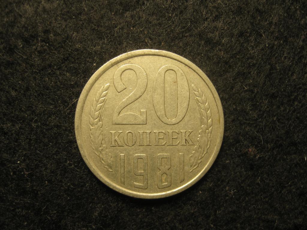 20 копеек 1981 СССР VF+ (№ 89, 5.25)