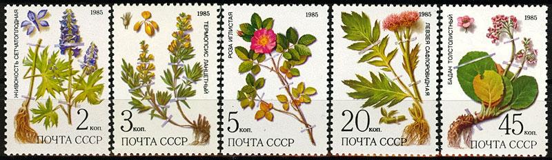 СССР 1985  - Лекарственные растения Сибири.