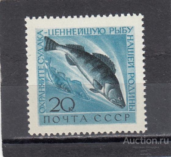 СССР 1960  Фауна Рыбы Судак Охрана природы Сост** MNH