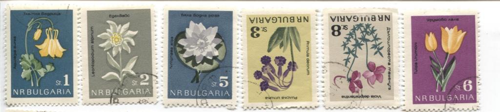1963 Болгария Защита природы. Цветы 8м.гаш